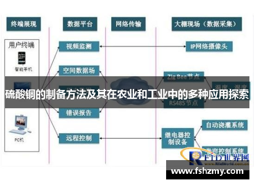 硫酸铜的制备方法及其在农业和工业中的多种应用探索